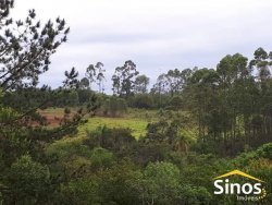 Terreno no bairro Morro Montenegro  