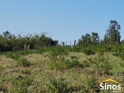 Sítio de 4,6 hectares em Lomba Grande  