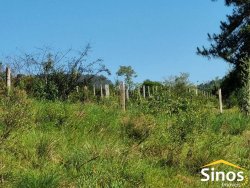 Sítio de 4,6 hectares em Lomba Grande  