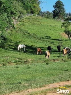 Sítio de 4,6 hectares em Lomba Grande  