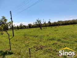 Sítio de 6,00 hectares em Lomba Grande  