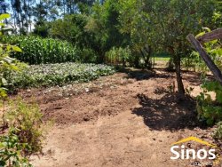 Sítio de 6,00 hectares em Lomba Grande  