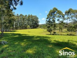 Sítio de 6,00 hectares em Lomba Grande  