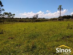 Sítio de 6,00 hectares em Lomba Grande  