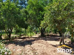 Sítio de 6,00 hectares em Lomba Grande  