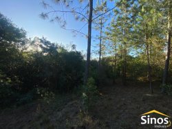 Sítio com 2,8 hectares em Lomba Grande 