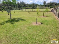 Sítio de 2,00 hectares em Lomba Grande 