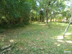 Terreno com 3,00 hectares em Lomba Grande 