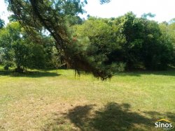 Terreno com 3,00 hectares em Lomba Grande 