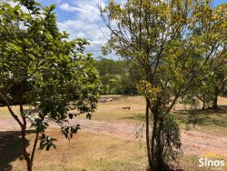 Sítio de 2,00 hectares em Lomba Grande 