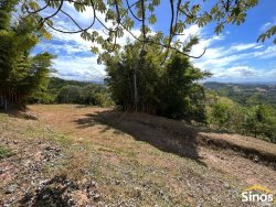 Sítio de 2,00 hectares em Lomba Grande 