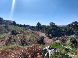 Terreno com 459 m² no bairro Jardim Buhler 