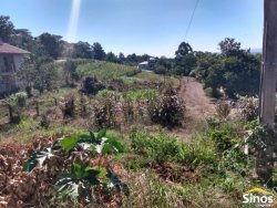 Terreno com 459 m² no bairro Jardim Buhler 