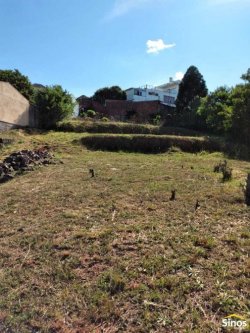 Terreno com 1.260 m² no bairro Rondônia 