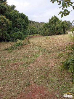Sítio com 2,00 hectares em Lomba Grande 