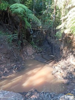 Sítio com 2,00 hectares em Lomba Grande 