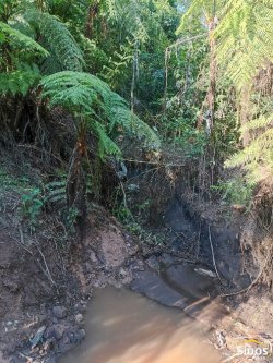 Sítio com 2,00 hectares em Lomba Grande 