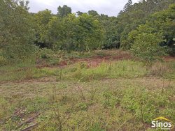 Sítio com 2,00 hectares em Lomba Grande 