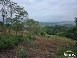 Sítio com 2,00 hectares em Lomba Grande 