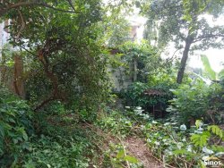 Terreno com 796,30m² no bairro Rondônia 