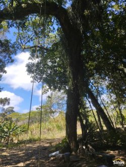 Sítio de 2,00 hectares em Lomba Grande 