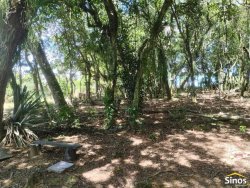 Sítio de 2,00 hectares em Lomba Grande 