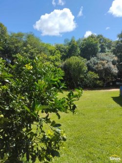 Sítio de 2,00 hectares em Lomba Grande 