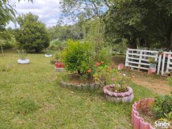 Sítio de 2,00 hectares em Lomba Grande 