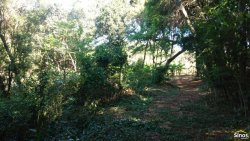 Sítio de 2,00 hectares em Lomba Grande 