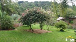 Sítio com 5,00 hectares em Lomba Grande 