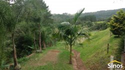 Sítio com 5,00 hectares em Lomba Grande 
