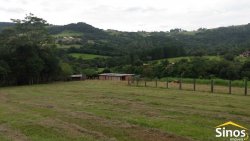 Sítio com 5,00 hectares em Lomba Grande 
