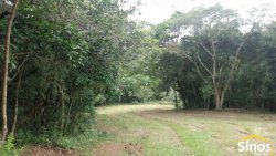 Sítio com 5,00 hectares em Lomba Grande 