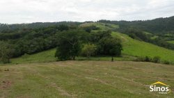 Sítio com 5,00 hectares em Lomba Grande 