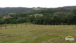 Sítio com 5,00 hectares em Lomba Grande 