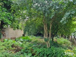 Terreno com 302,50m² no bairro Feitoria 