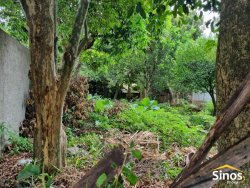 Terreno com 302,50m² no bairro Feitoria 