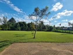 Sítio de 5.000m² no bairro Lomba Grande 