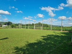 Sítio de 5.000m² no bairro Lomba Grande 