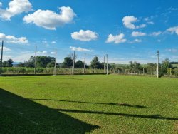 Sítio de 5.000m² no bairro Lomba Grande 