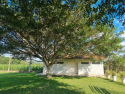 Sítio de 5.000m² no bairro Lomba Grande 