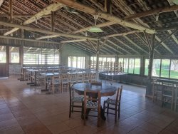 Sítio de 5.000m² no bairro Lomba Grande 