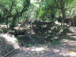 Sítio com 4,00 hectares em Lomba Grande  