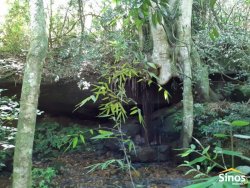 Sítio com 4,00 hectares em Lomba Grande  