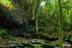 Sítio com 4,00 hectares em Lomba Grande  