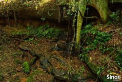 Sítio com 4,00 hectares em Lomba Grande  