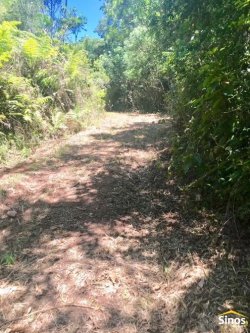 Sítio com 4,00 hectares em Lomba Grande  
