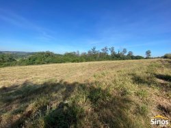 Sítio com 2,9 hectares no bairro Lomba Grande  