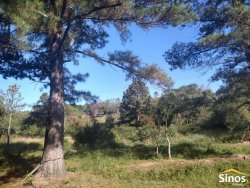 Sítio com 6.892,80m² no bairro Fazenda São Borja 