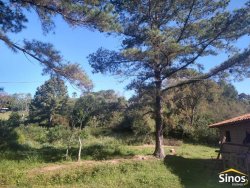 Sítio com 6.892,80m² no bairro Fazenda São Borja 